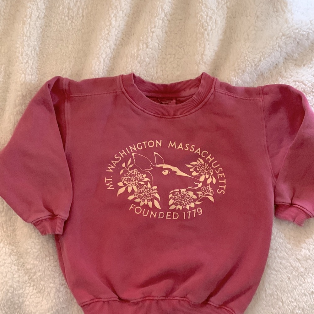 Kids sweatshirt Mount Washington